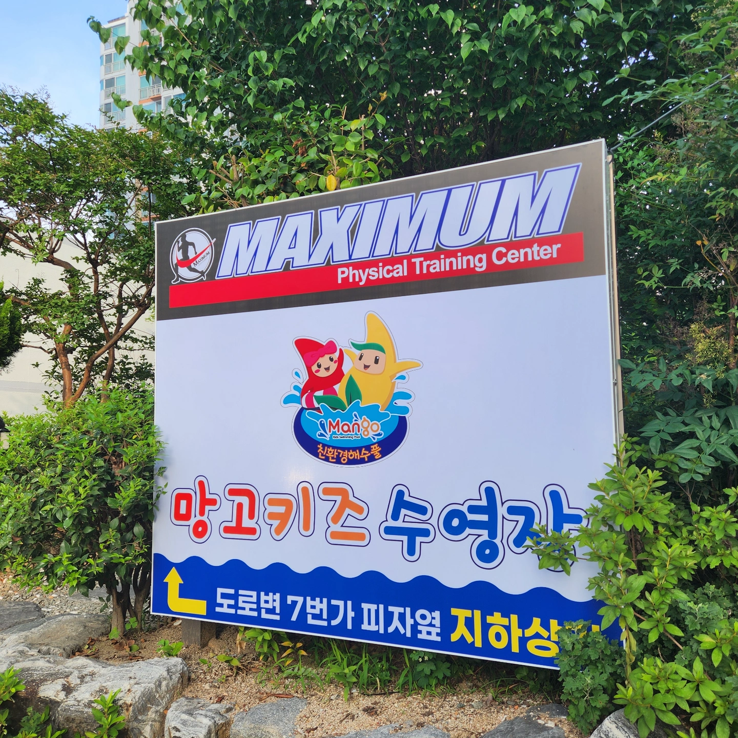 운전기사님 모십니다(망고키즈수영장)