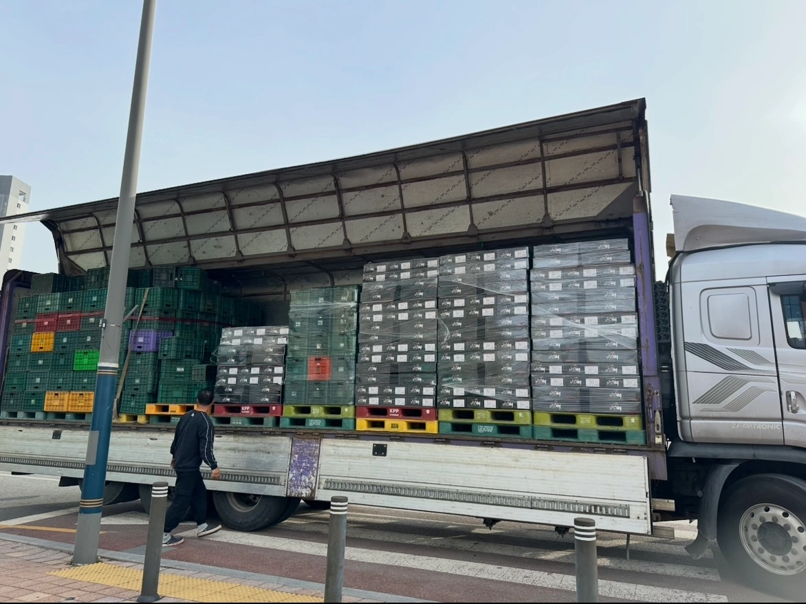 리얼푸릇 오룡점 추석 명절 단기알바 구합니다
