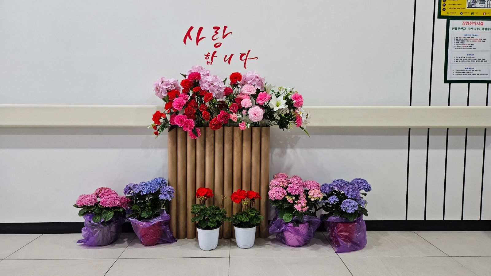 요양보호사(주주야야비비)