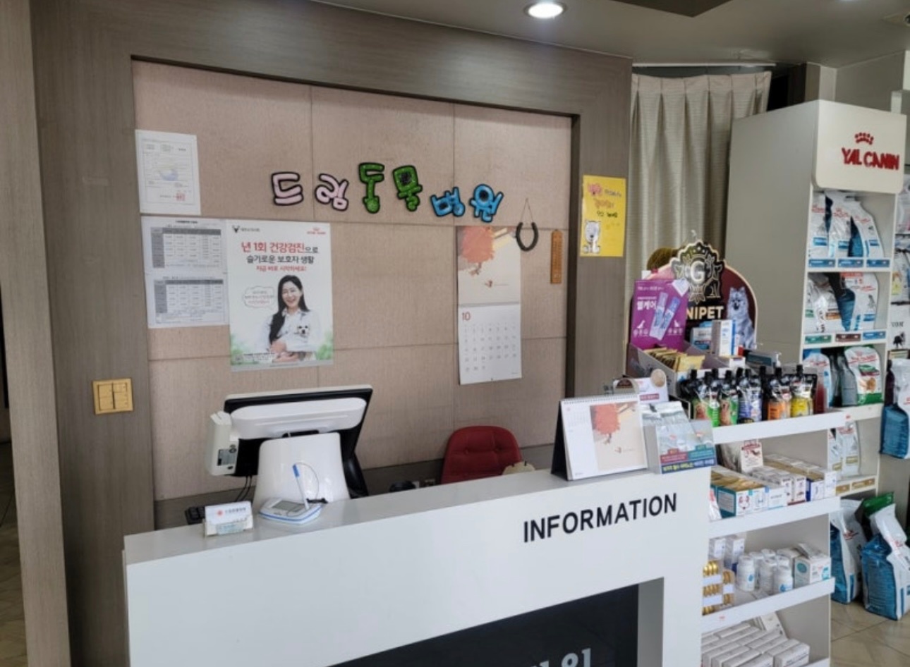 드림동물병원 데스크 직원 공고 썸네일