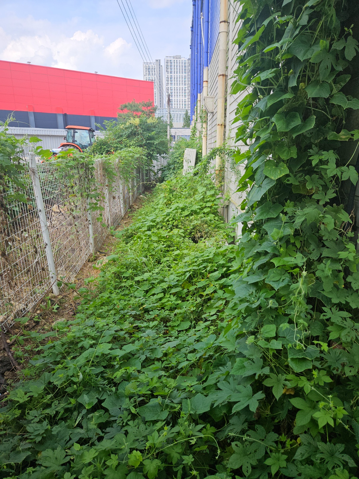 창고주변 예초 해주실분 공고 썸네일