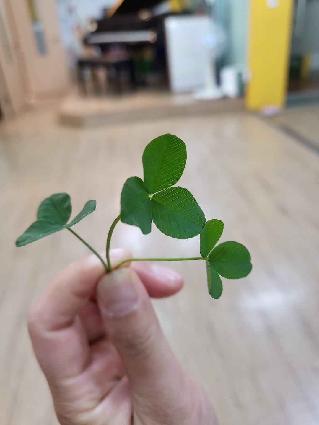 피아노 파트선생님 구합니다. 공고 썸네일
