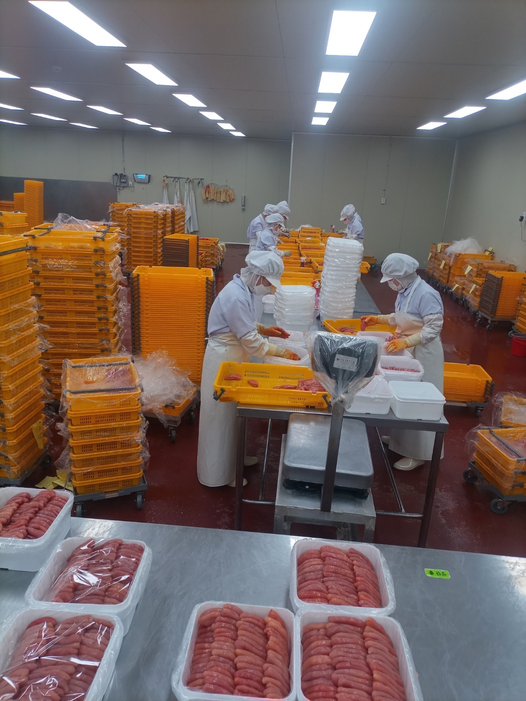 명란젓 제조공장 선별작업 공고 썸네일