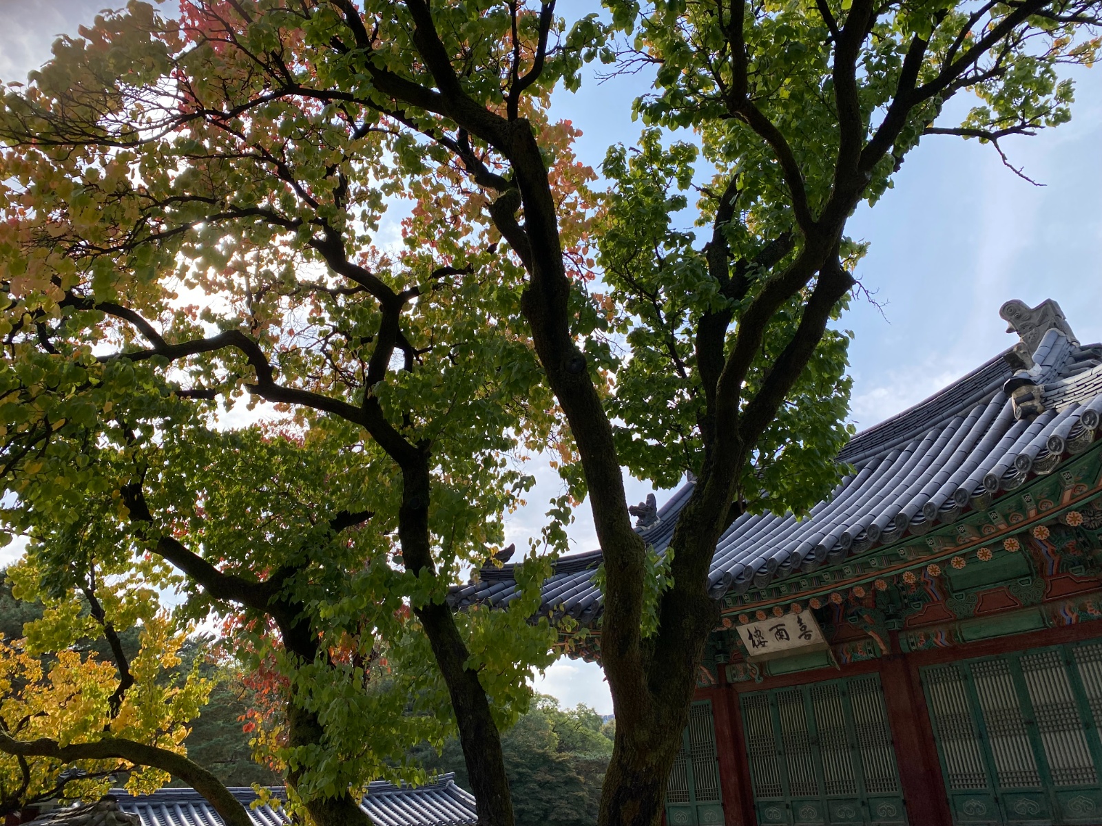 2룸 청소알바 구합니다 공고 썸네일