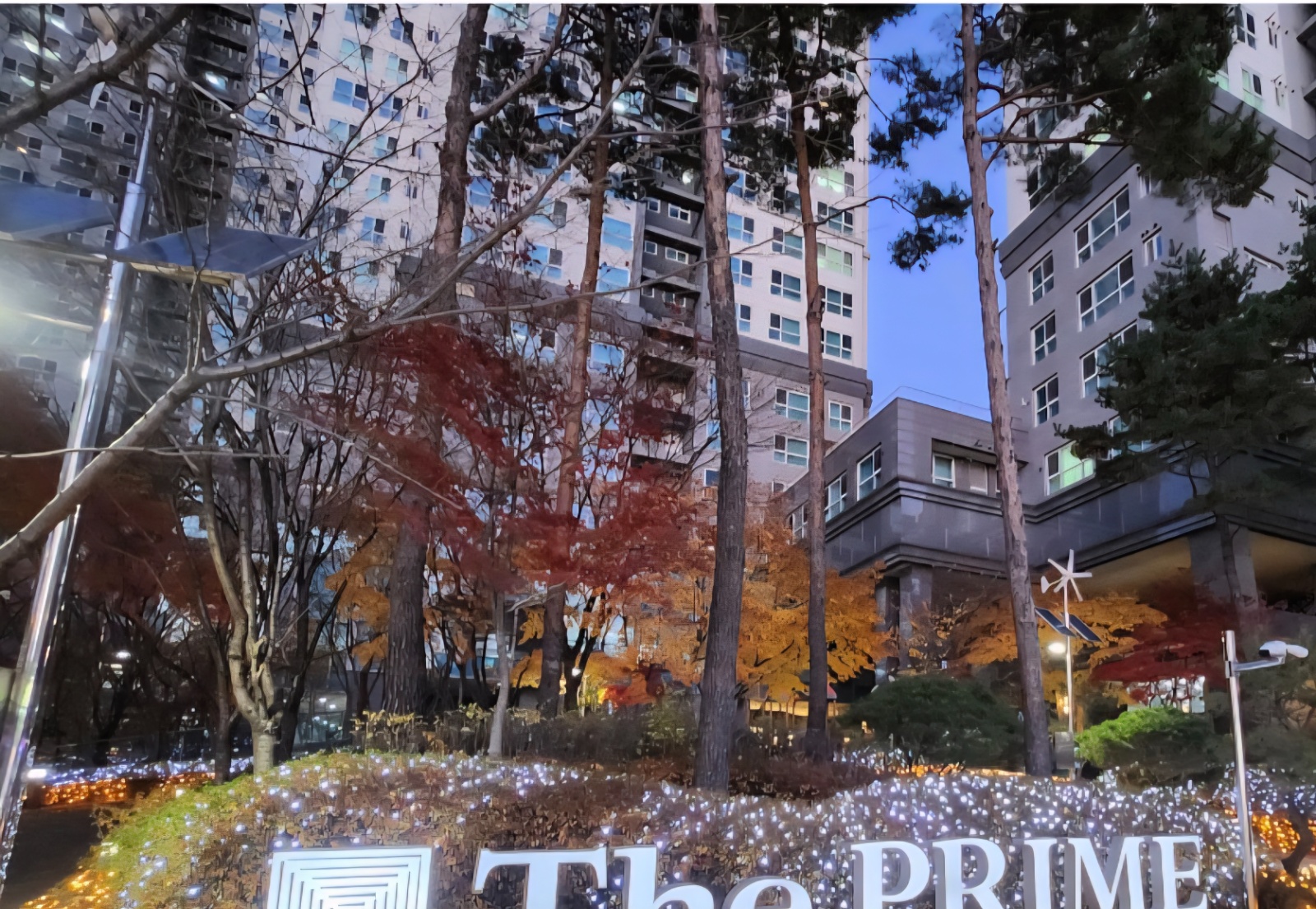 마포 코인노래방 금,일,월 | 지코인노래연습장 | 도화동 | 당근 알바