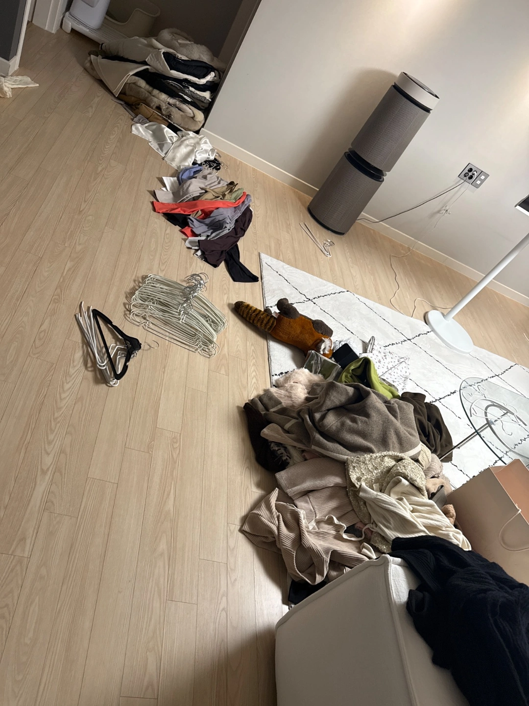 여성분만(옷정리 같이 해주실분)지금당장!