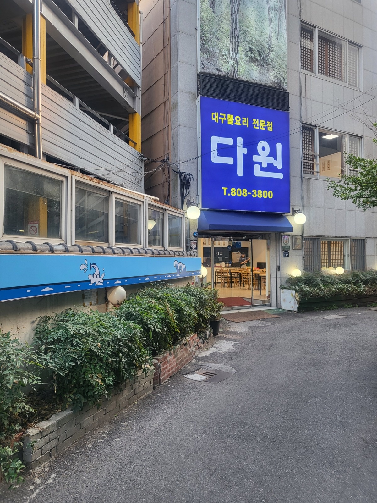 대구뽈요리집 금,토 오후 알바 구해요. 공고 썸네일