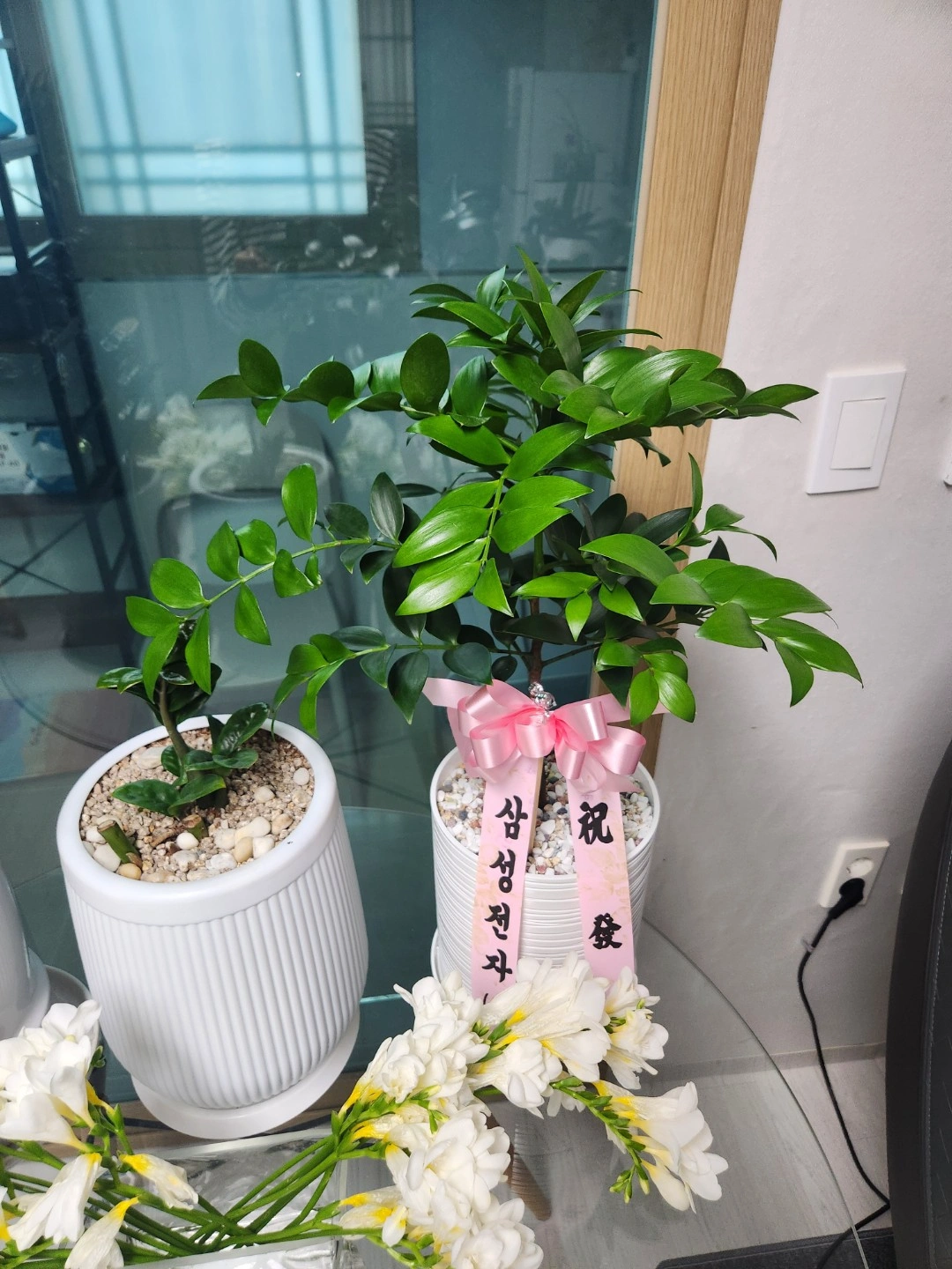 감곡면 문촌리 80대초 4등급 요양보호사 구합니다.