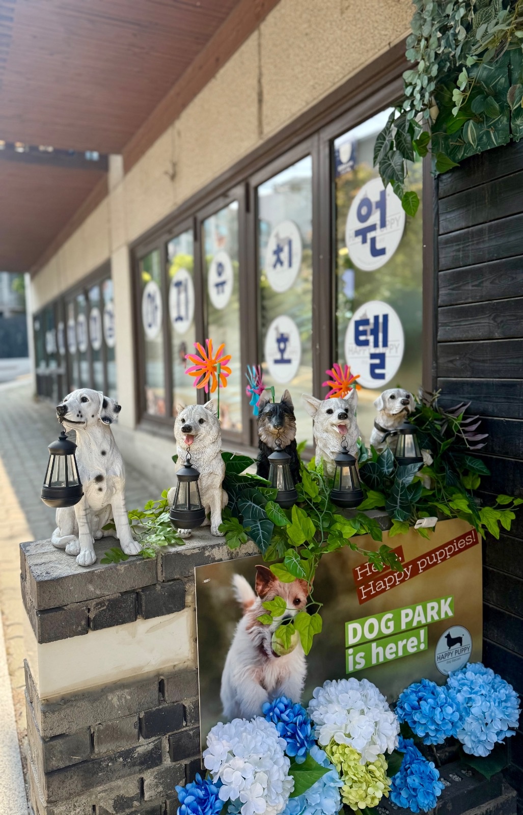 강아지유치원 교사채용 (유치원, 동물병원 경력직 구인) 공고 썸네일