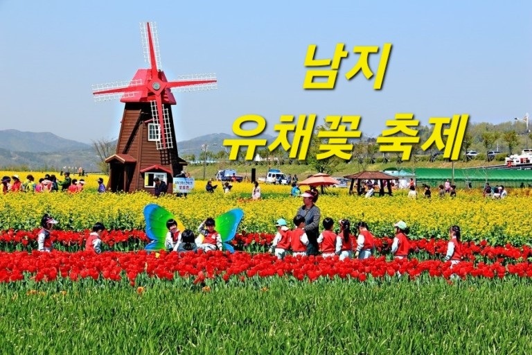 남지유채꽃축제 써빙 단기알바 공고 썸네일