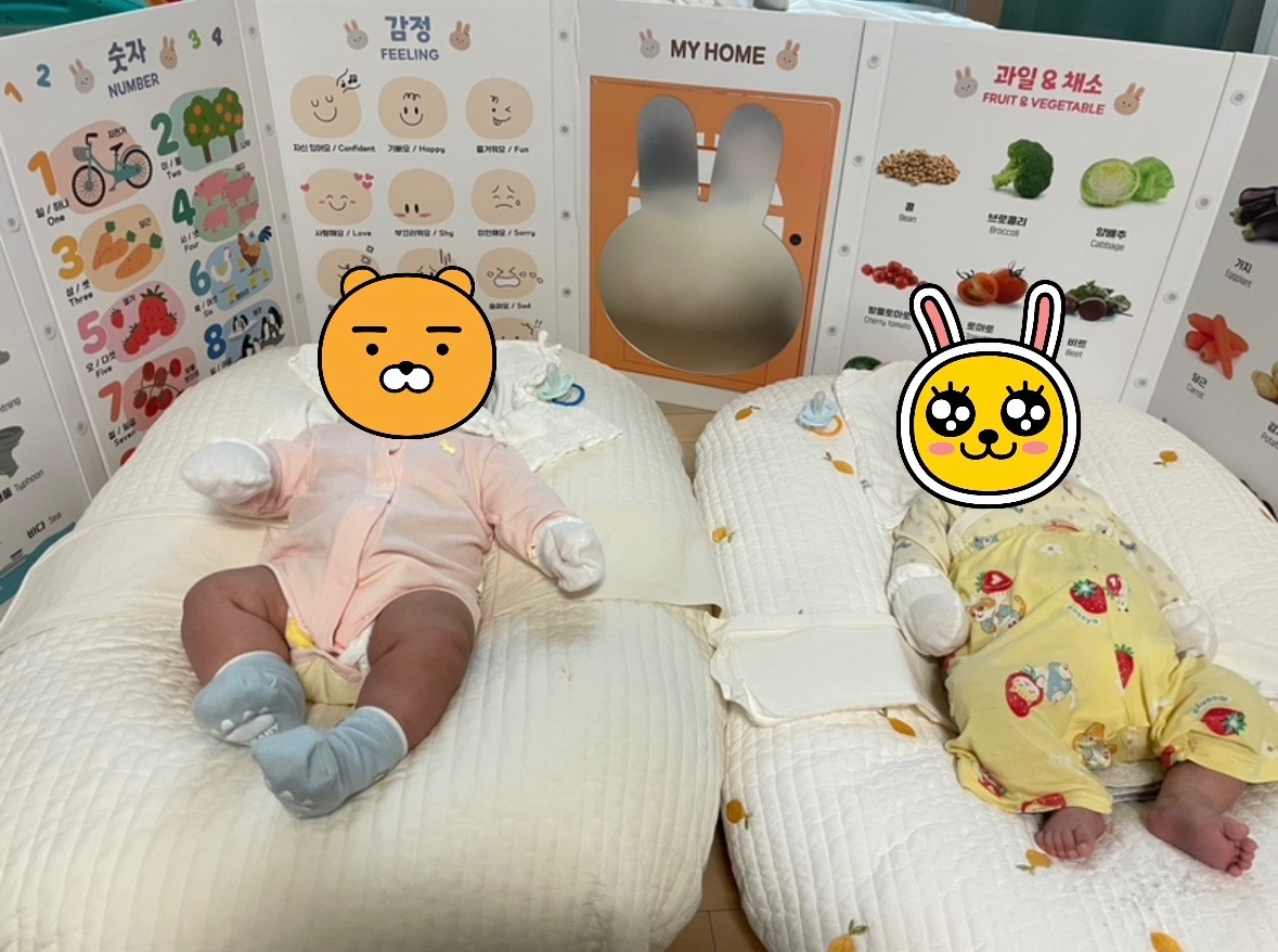 5개월 남여 쌍둥이 함께 봐주길 시터님 모십니다 공고 썸네일