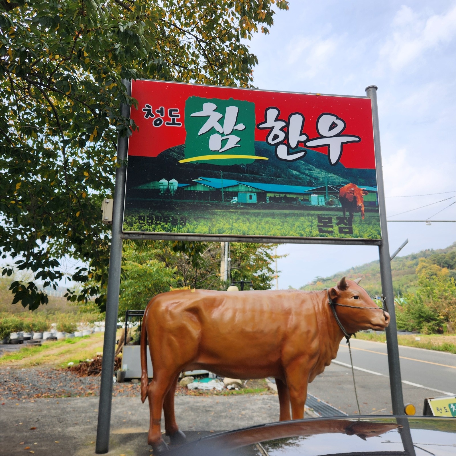 청도참한우 홀서빙 알바 및 직원구합니다 공고 썸네일