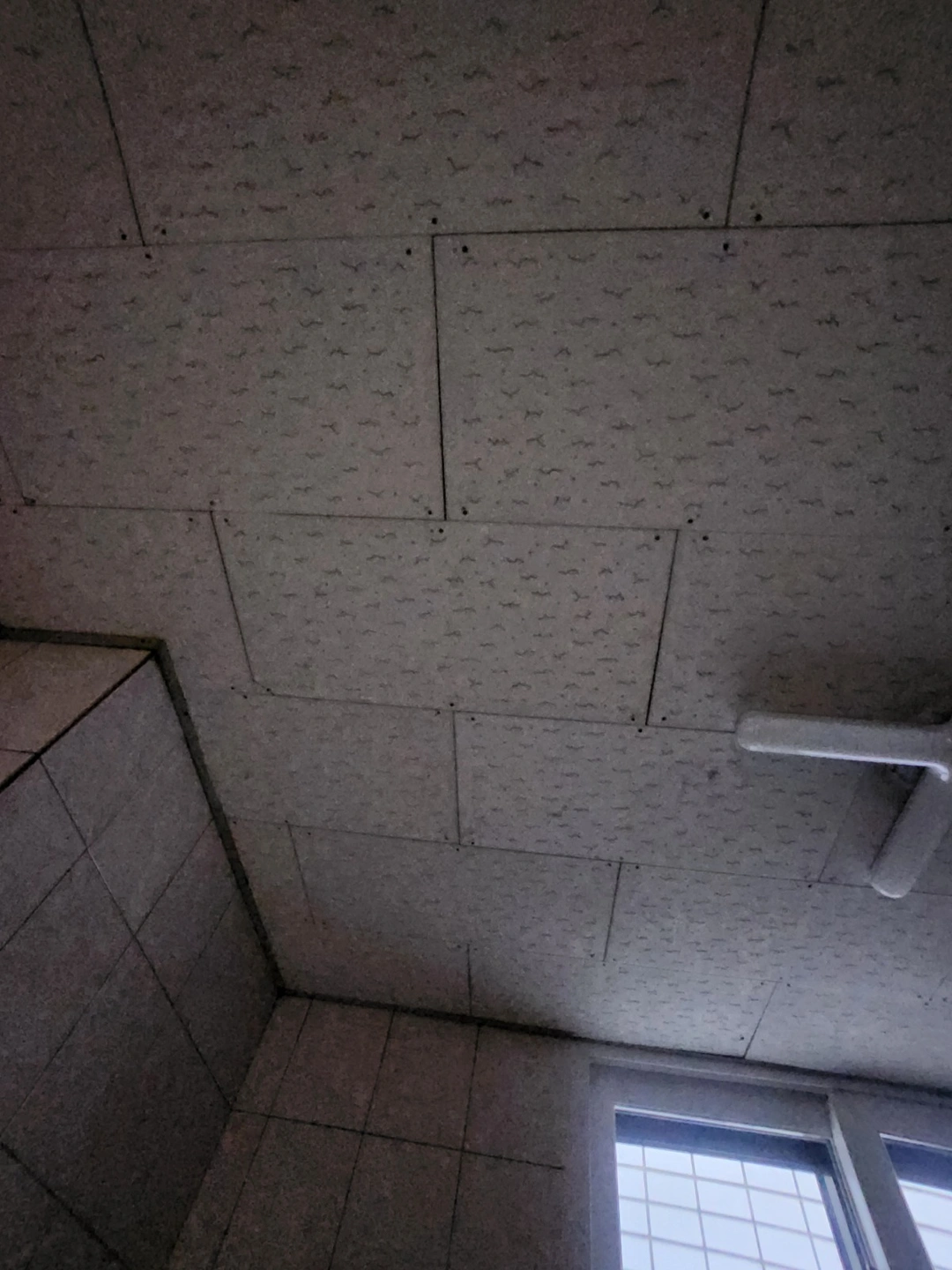 천장막아주실분