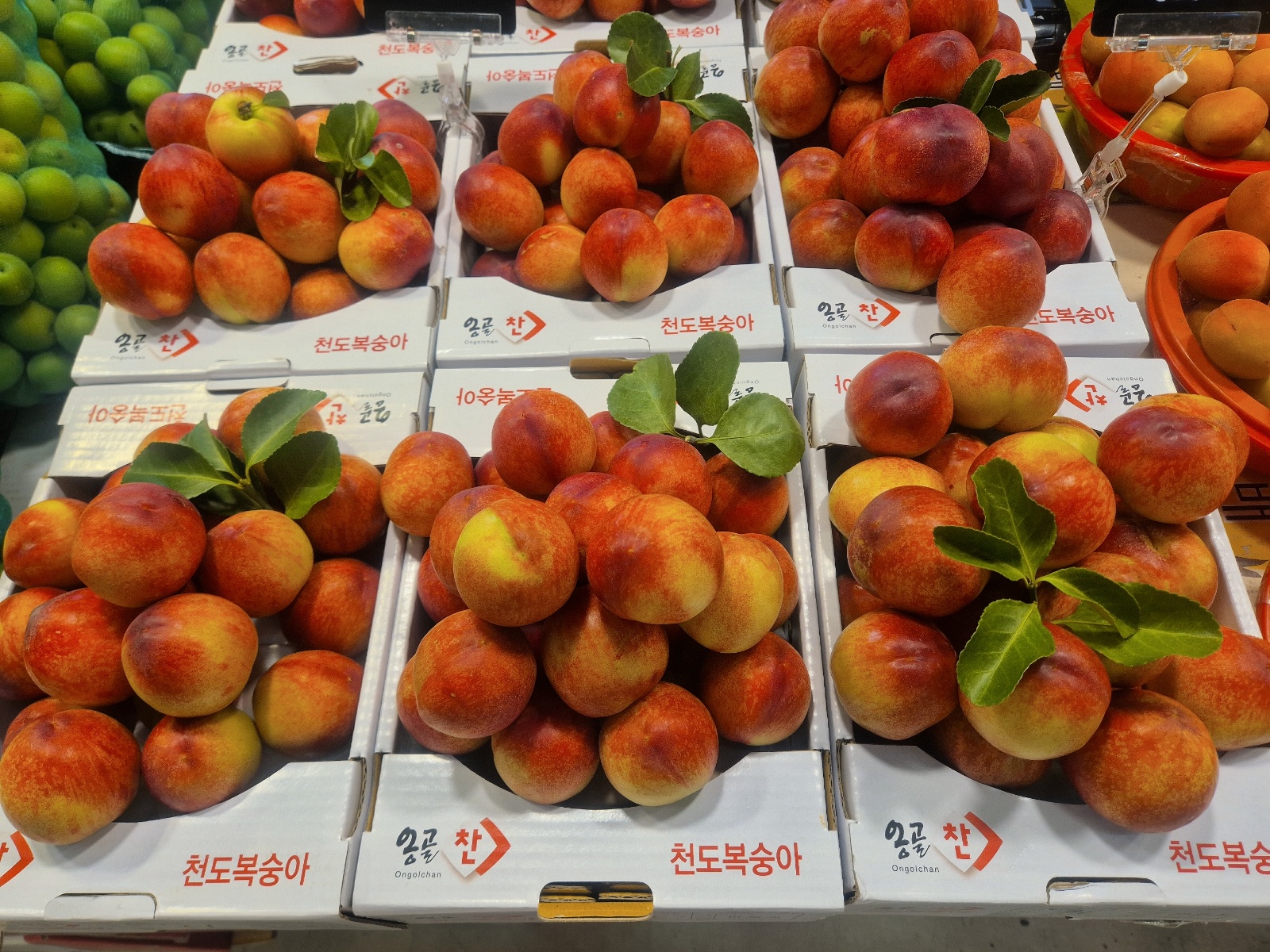 남촌동 도매시장에서 새벽알바 구합니다 공고 썸네일