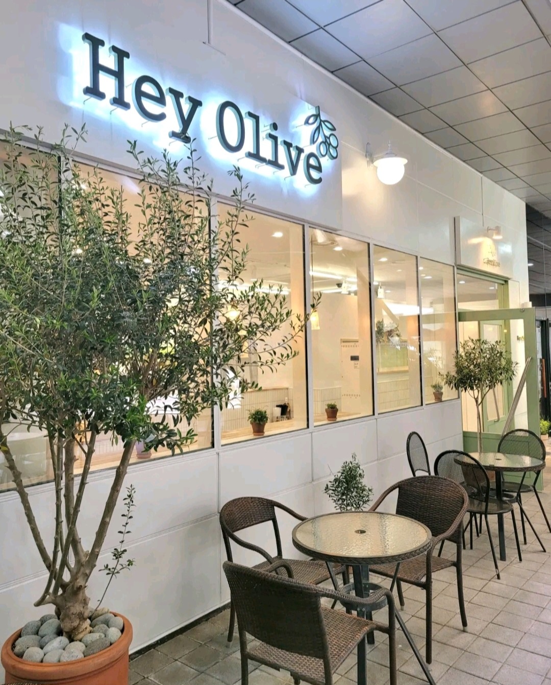 판교 헤이올리브 카페알바구합니다 공고 썸네일
