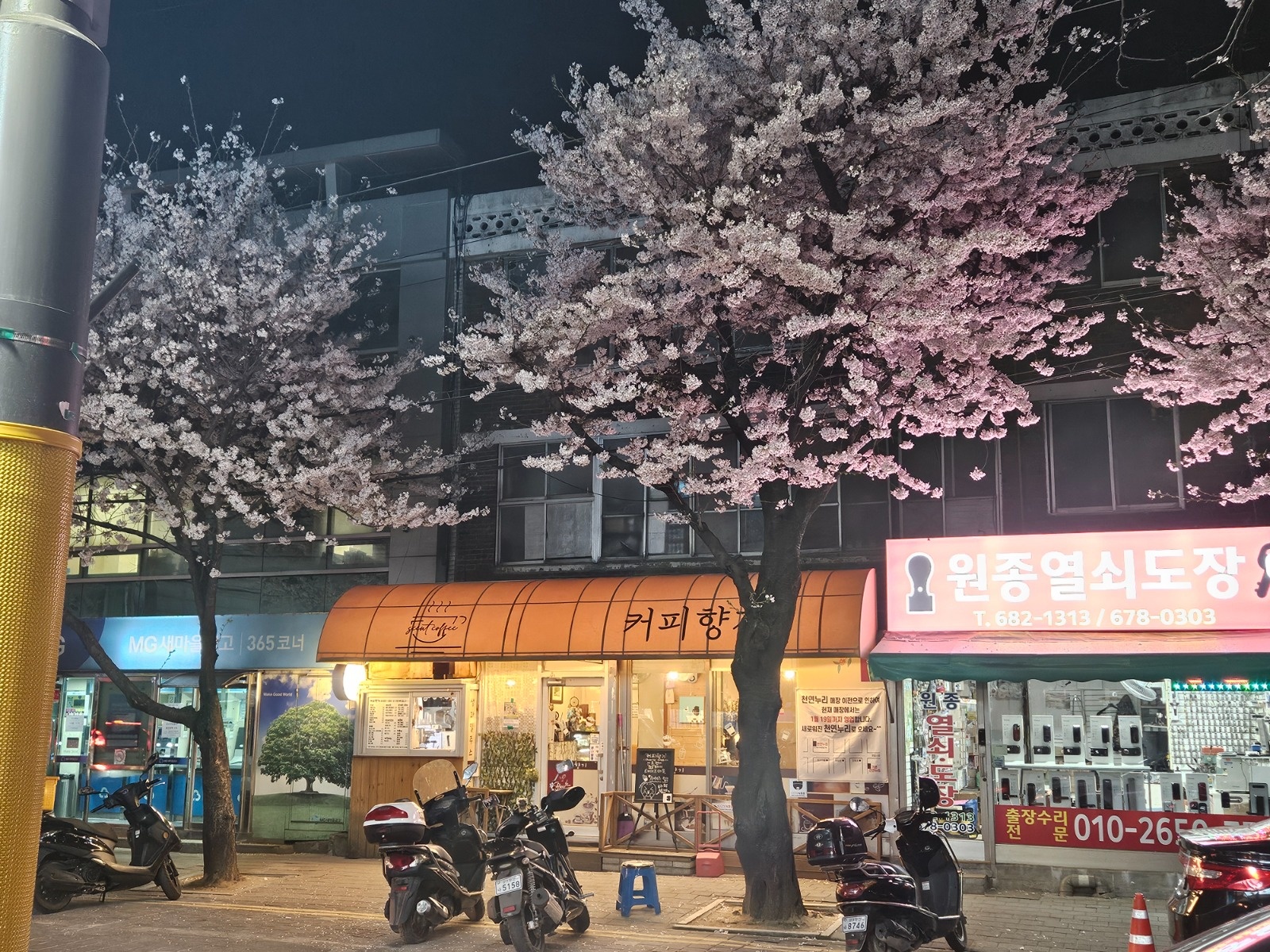 카페 알바구합니다. (주말 하루) 공고 썸네일