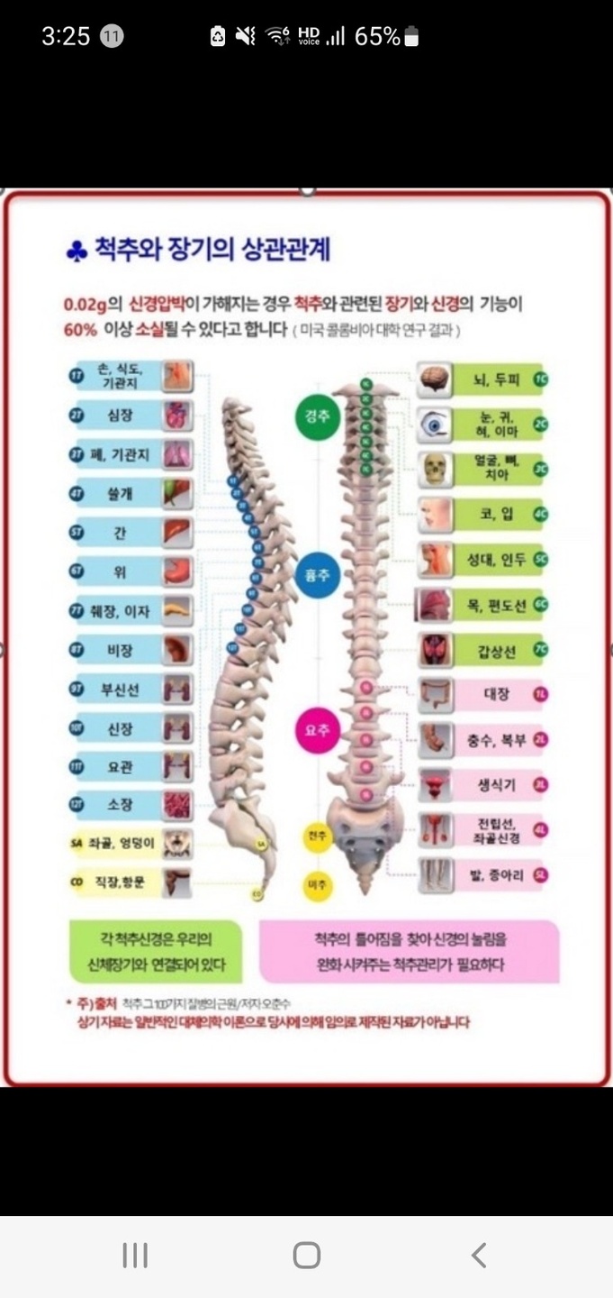 당리동 3h지압침대(하단센타) 아르바이트 장소 (4)