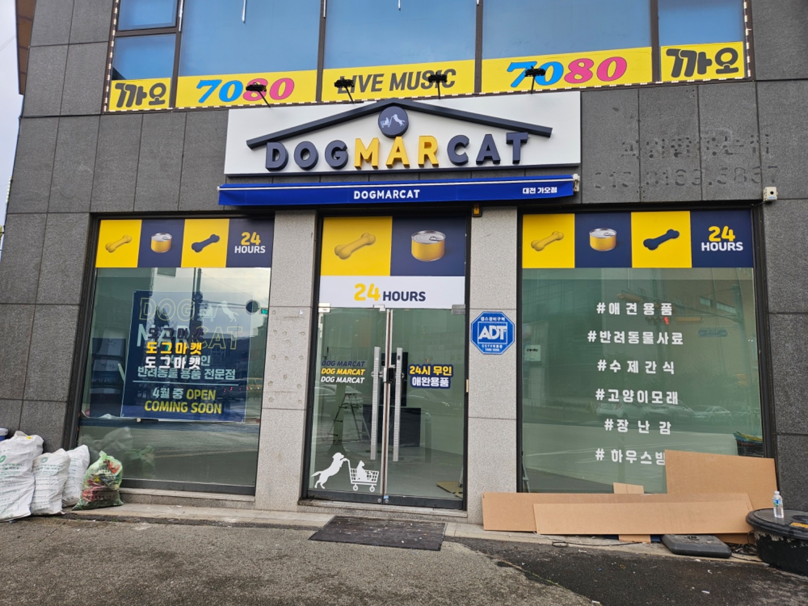 도그마캣 알바 구합니다 당일지급 공고 썸네일