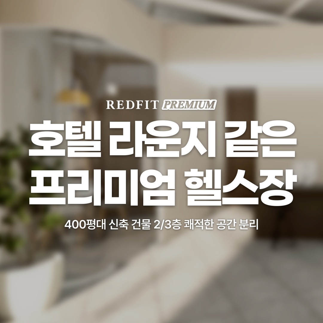 선유도 레드핏프리미엄 오후 월화 인포 모집 공고 썸네일