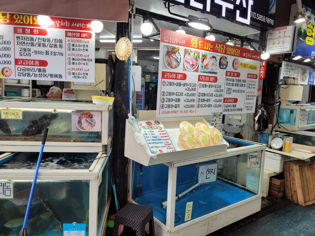 올레시장 포장횟집에서 간단한 서빙하실분