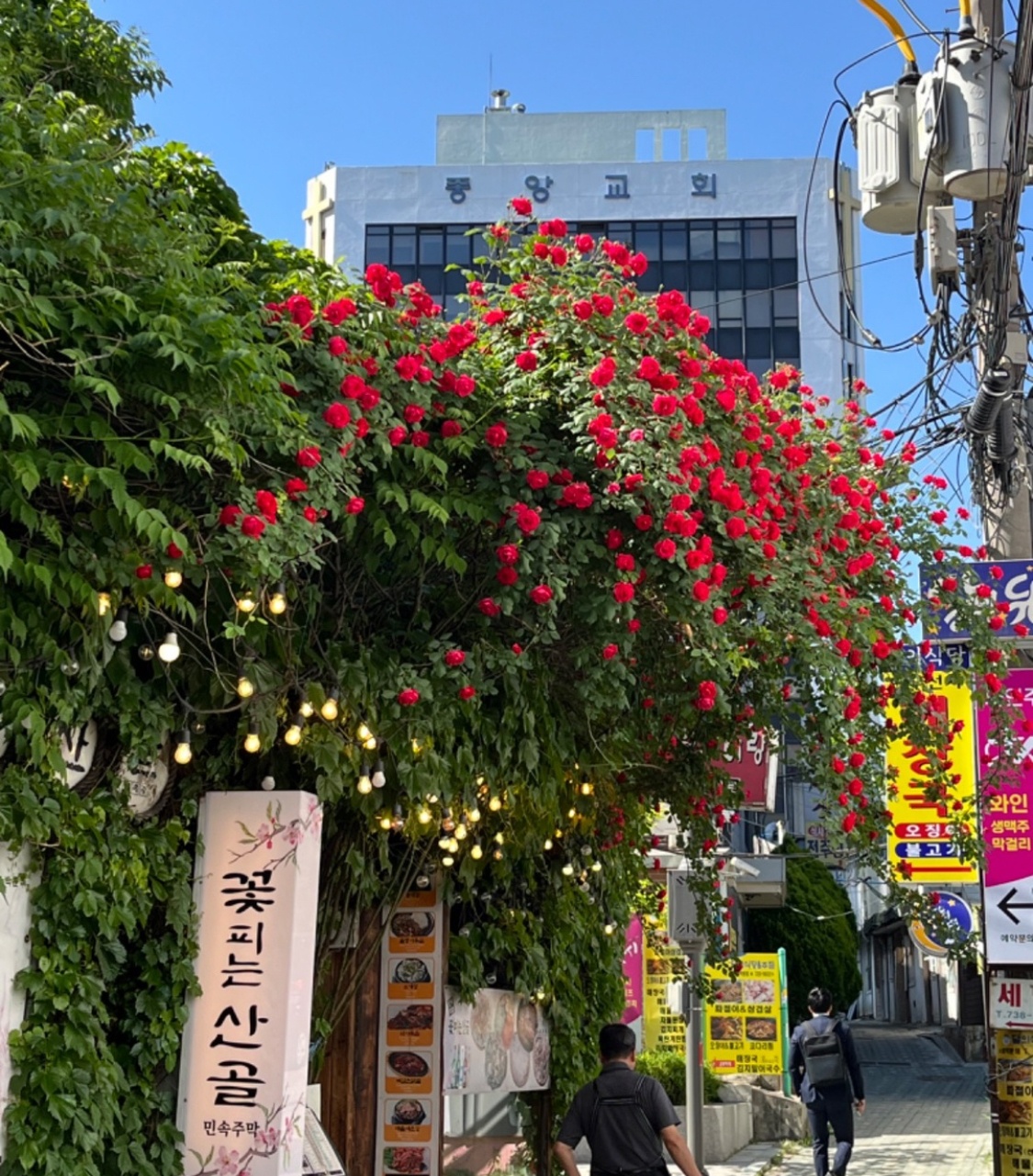 민속주점 금토 서빙알바 구해요! 공고 썸네일