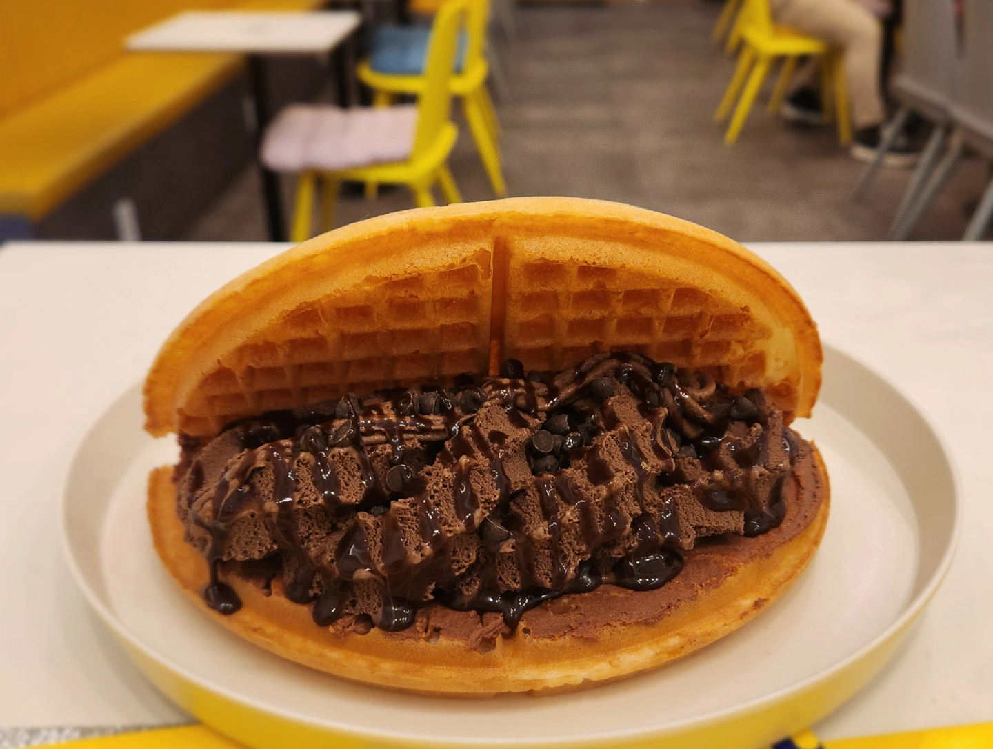 와플대학 신탄진에서 알바신입생 모집해요