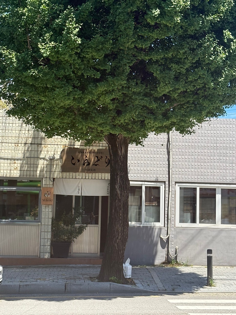 동명동 이로도리 함께할 직원 구합니다 공고 썸네일