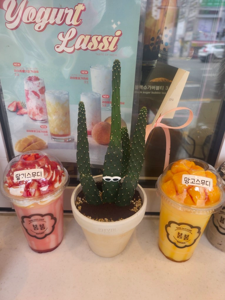 카페봄봄신천역점 월.화 미들, 일요일 마감 경력자 모집