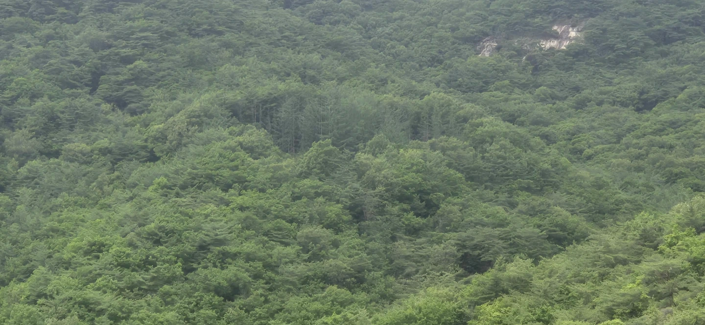 주방보조 하실분 찾습니다.