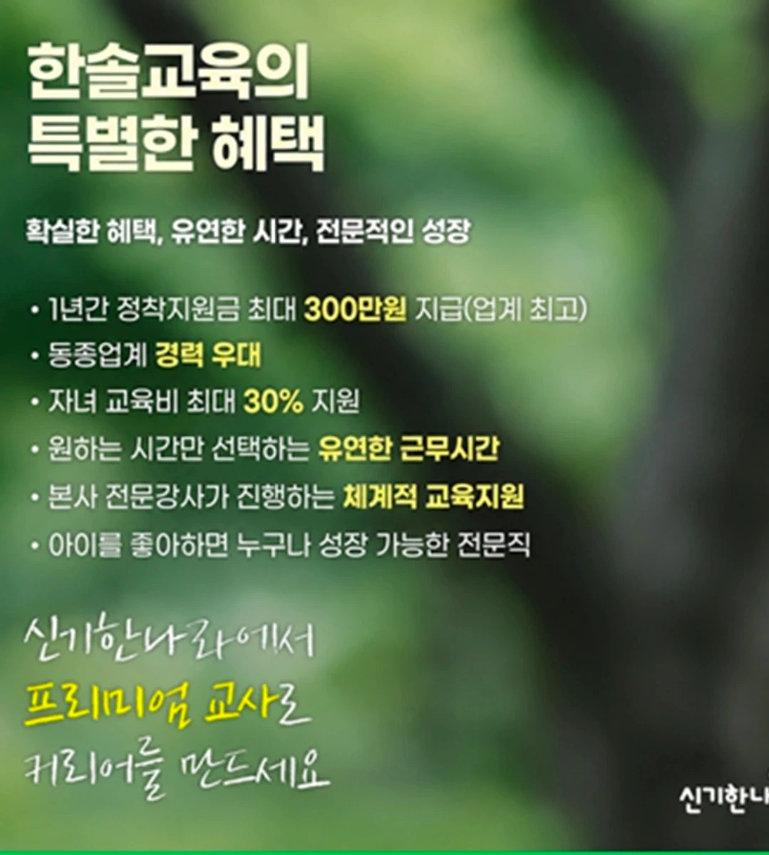영어, 한글교사채용
