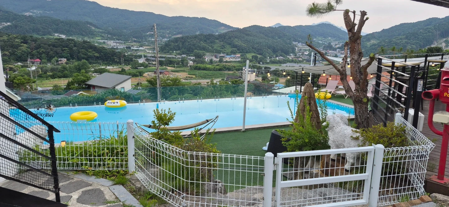 보보애견풀빌라 숙식 실장님 채용
