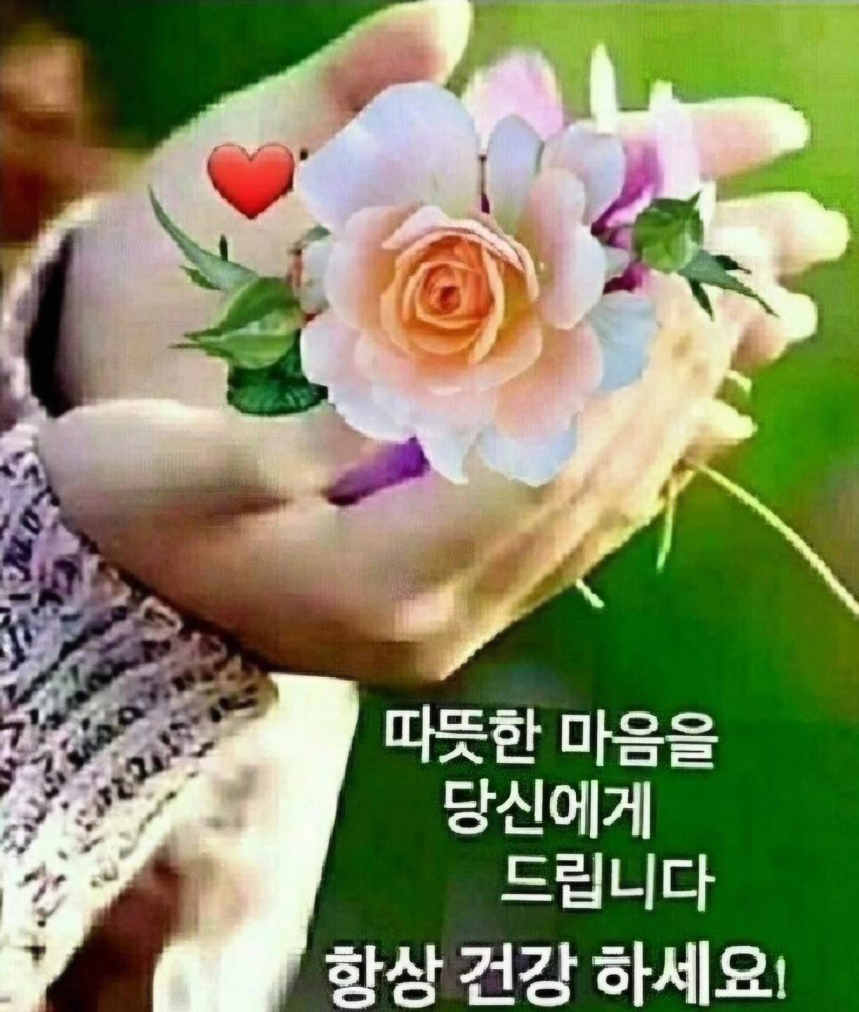 양서면 재가요양보호사 구합니다