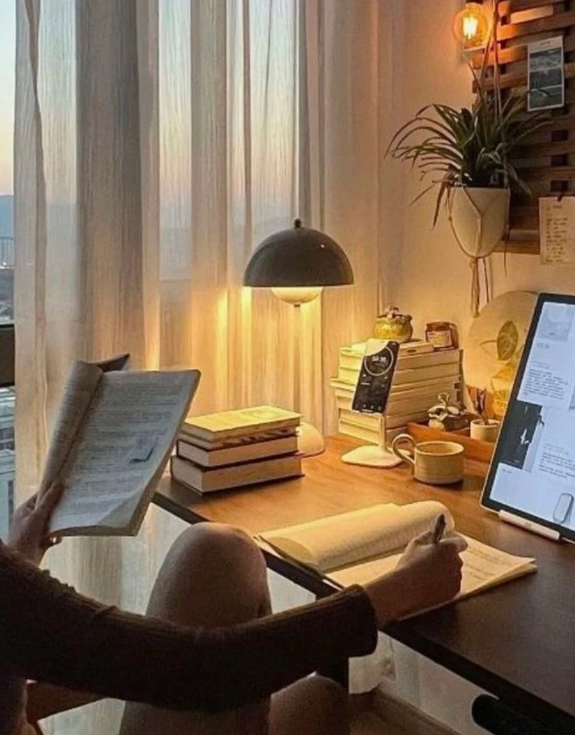 조명 셋팅 좀 알려주실분이요