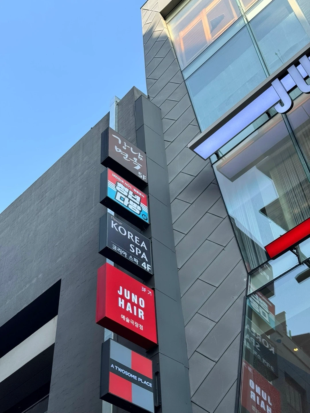 청년다방 명동점 주방보조/메인 모집