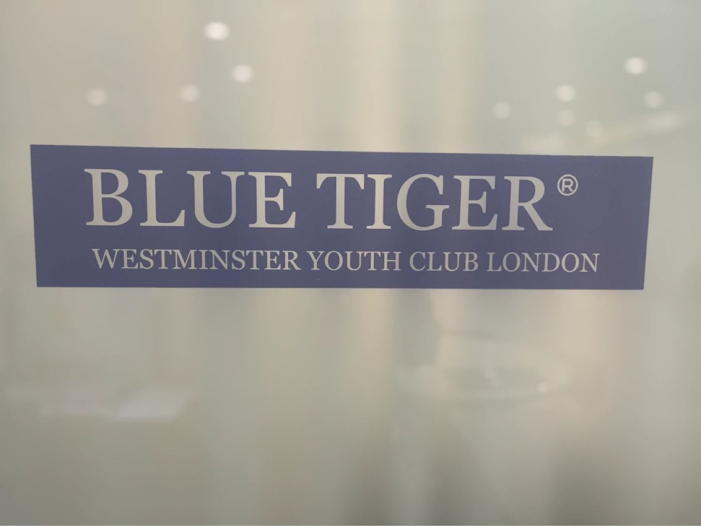 Blue Tiger Daechi Branch. 키즈카페