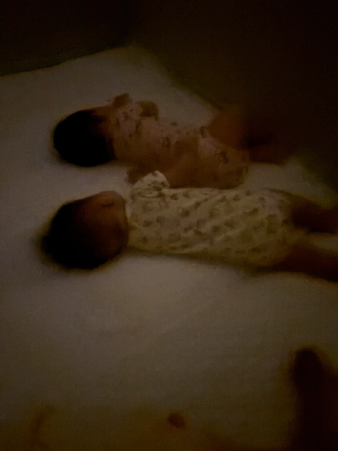 7개월 남아 쌍둥이
