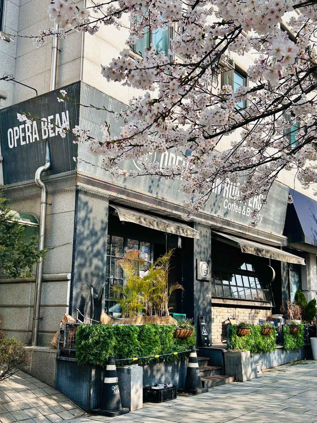 오페라빈카페 주말 파트타임구인합니다