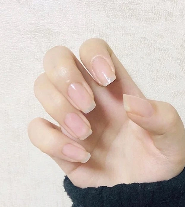 네일아트 국가시험 모델구해요