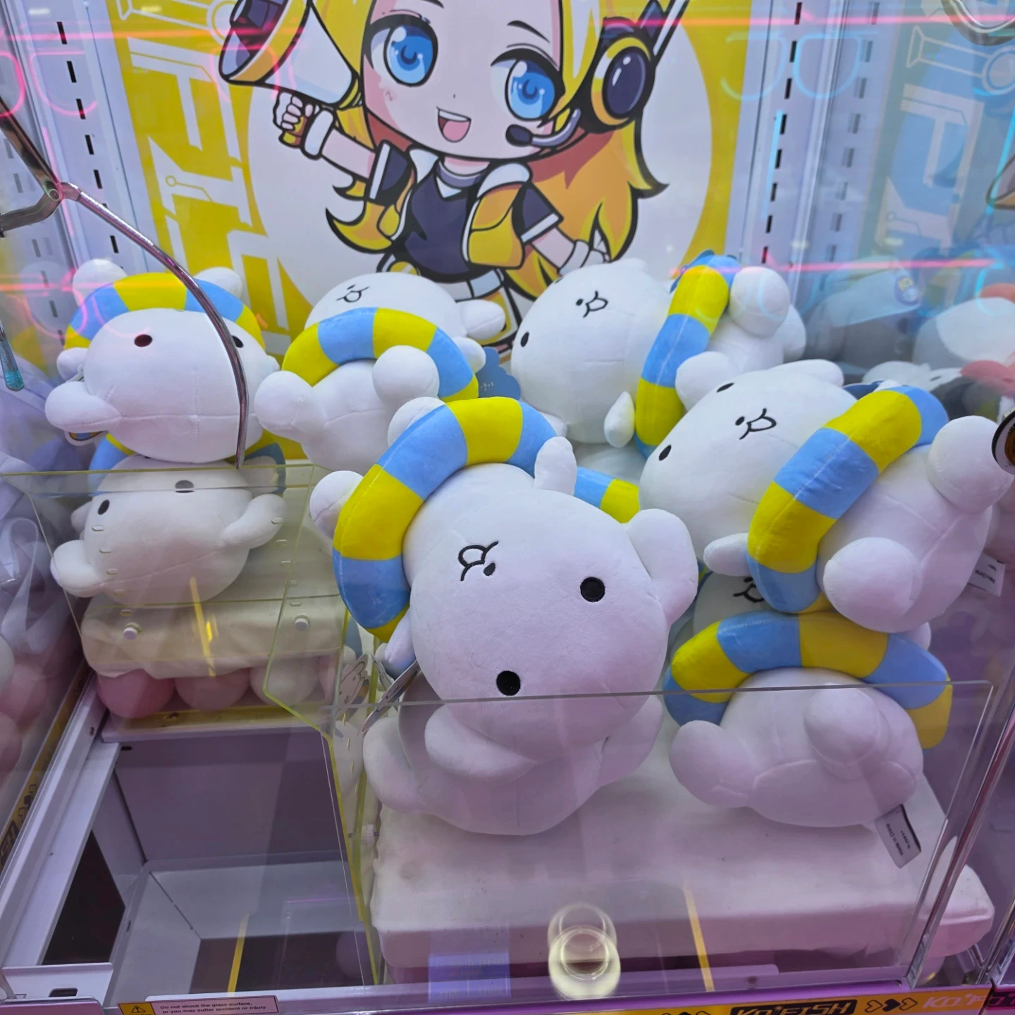 인형 정리해 주실분