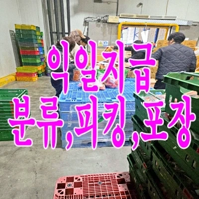 명절 선물세트 냉장 10~19시 양성면