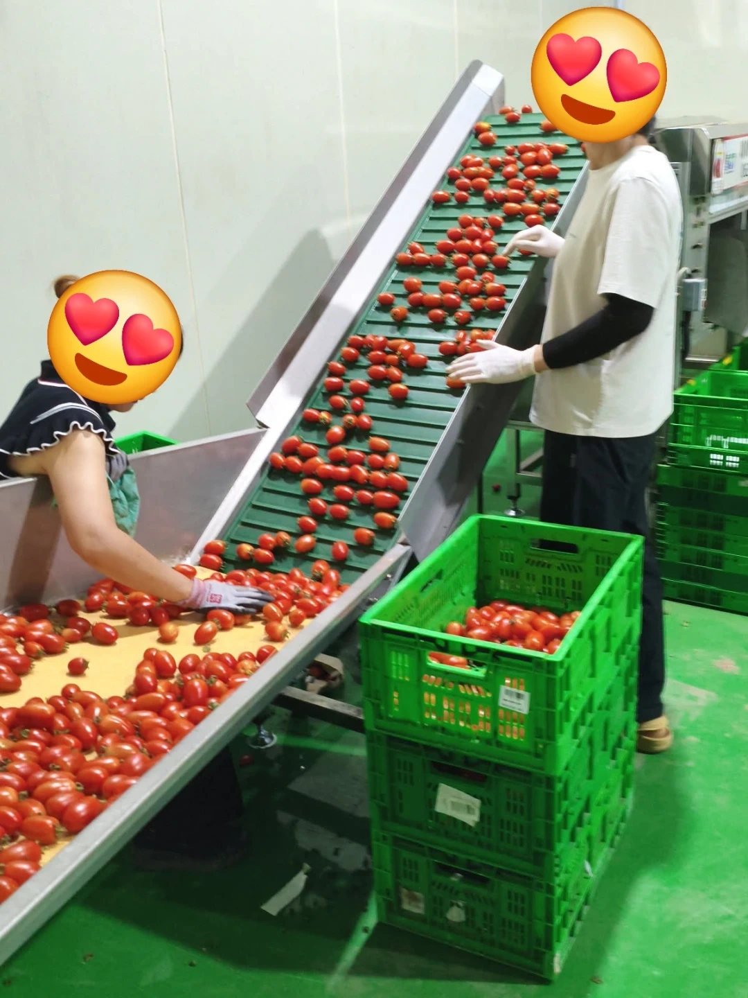 아저씨 월~목 또는 금 단순직 9.5