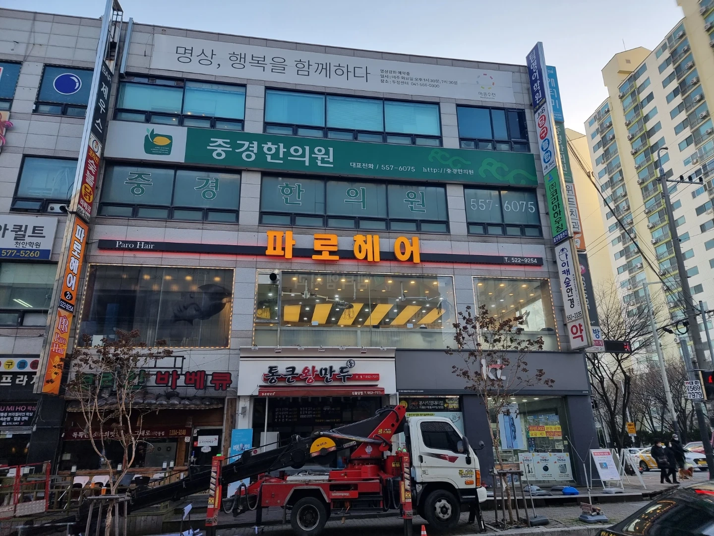 파로헤어 디자이너 모집