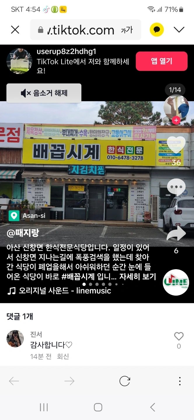 주말토일 평일월화