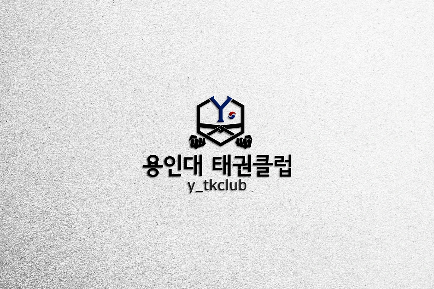 보조 사범님 모십니다:)