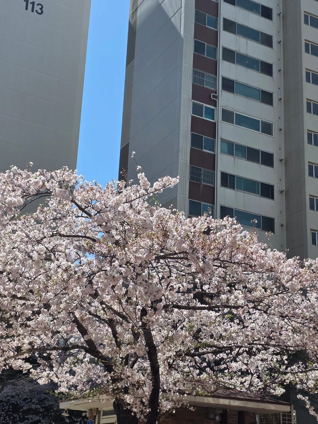 요아정부산종합운동장점에서 마감아르바이트를 모집합니다