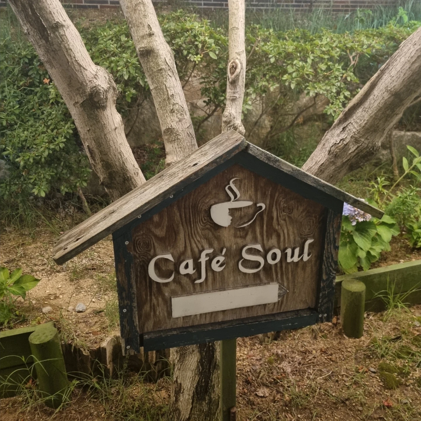 토,일 카페알바