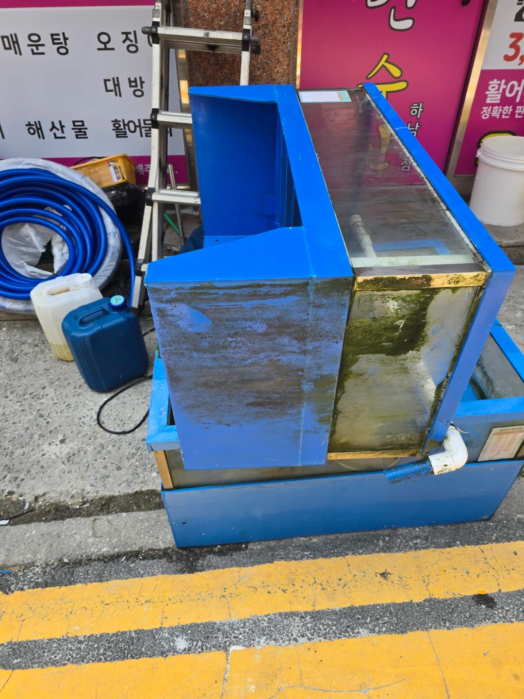 수족관청소및 모래세척