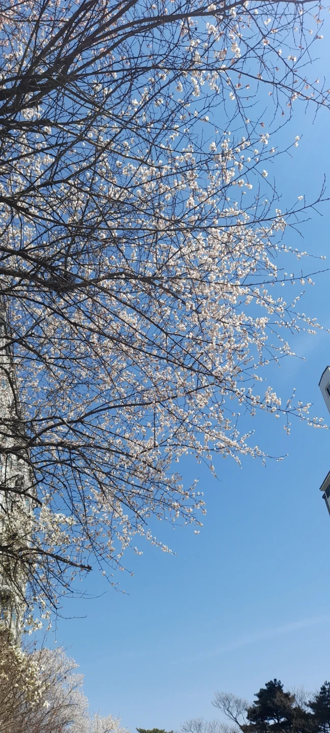 가사일 전체 도와주실분 구합니다.<요리포함>