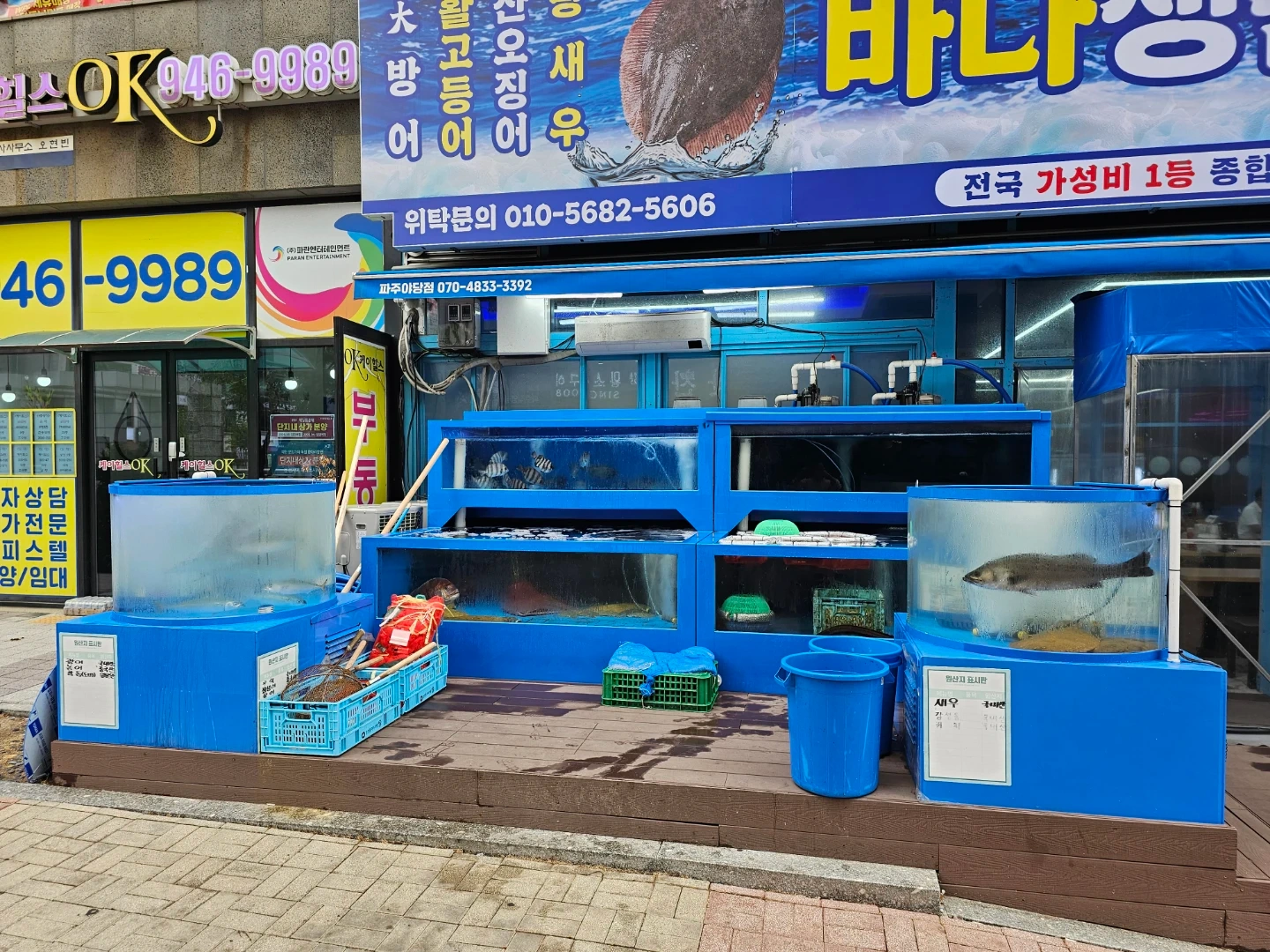 바다생산파주본점 홀서빙,주빙보조
