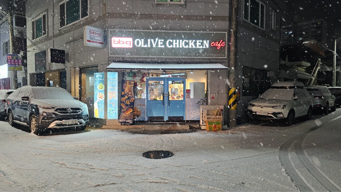 비비큐 치킨